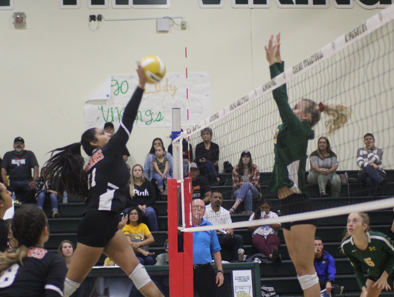 Vikings sweep the Bears on senior night